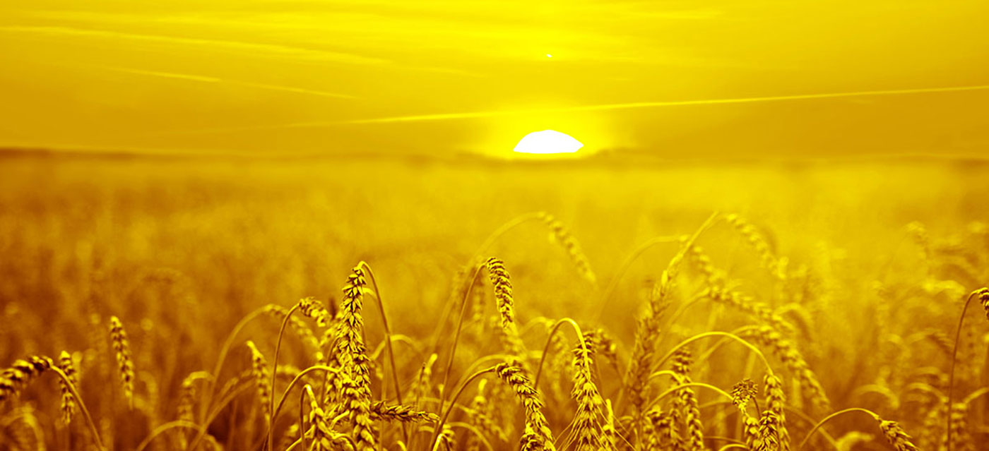 ما دوست داریم راه حل های رنگی ارائه دهیم